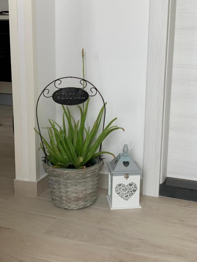 Apartment Salov Trogir Oda fotoğraf